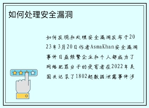 如何处理安全漏洞 